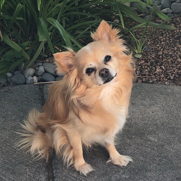 Meet your Posher, Audry - Picture 2 of 16